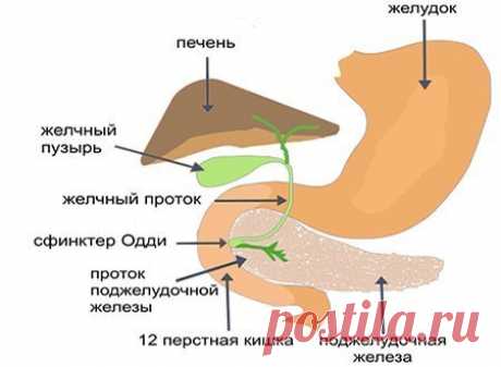 Самопознание Здоровье Красота