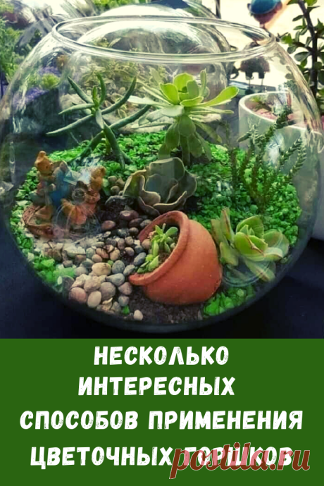 Все привыкли видеть цветочные горшки на подоконниках или в саду. Но можно дать им возможность побыть в роли совершенно другого предмета.