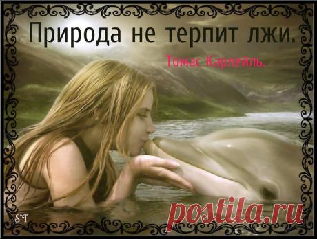 Цитаты
