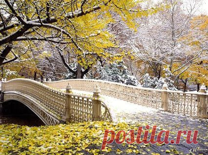 pro Ро$$ию – Сообщество – Google+