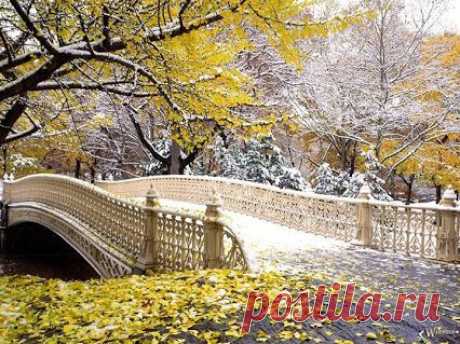 pro Ро$$ию – Сообщество – Google+