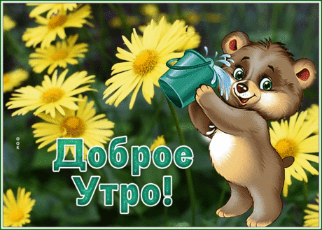 Картинка доброе утро с милым мишкой и цветами