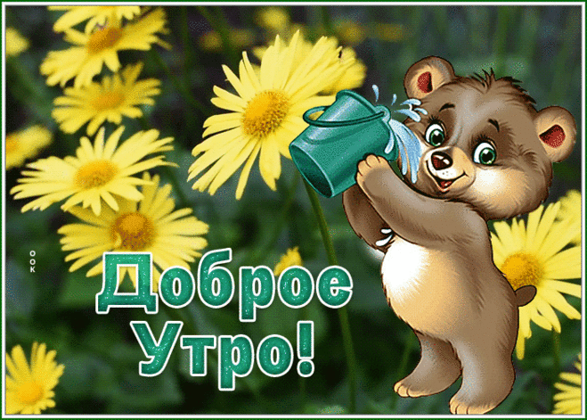 Картинка доброе утро с милым мишкой и цветами