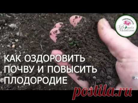 КАК ОЗДОРОВИТЬ ПОЧВУ В ТЕПЛИЦЕ И ПОВЫСИТЬ ПЛОДОРОДИЕ