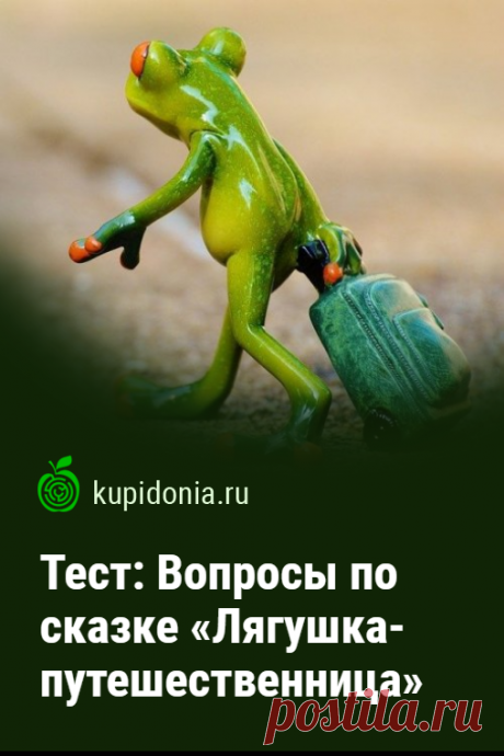 Тест: Вопросы по сказке «Лягушка-путешественница». Проверочный тест по сказке Гаршина «Лягушка-путешественница». Школьная программа. Русская литература.