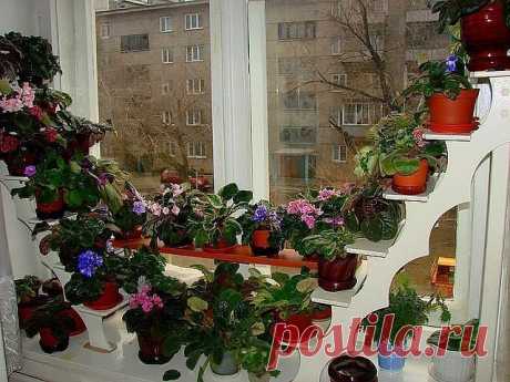 Одноклассники