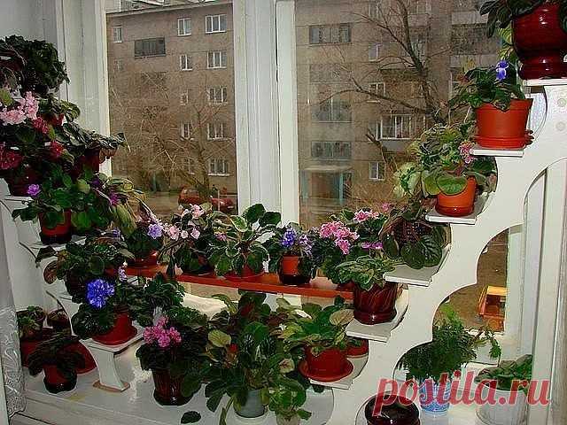 Одноклассники