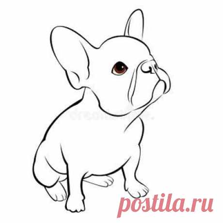 French Bulldog Black and White Hand Drawn Cartoon Portrait Vector Illustration. Funny French Bulldog Puppy Sitting and Looking Stock Illustration - Illustration of drawing, design: 153333273