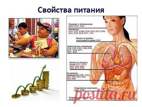 За последнее время свойство питания изменились. Современное технологии создают синтезированную еду, используя искусственные добавки. При постоянном употреблении которых, приводит к тяжёлым заболеваниям. Такое питание имеет низкую себестоимость, и увеличение прибыли. Синтезированная еда имеет длинный срок годности, что позволяет производить в больших количествах.