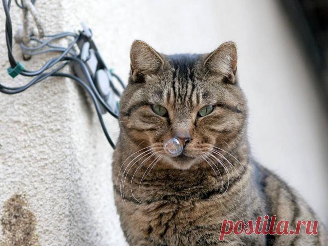 Мыльная опера)))))