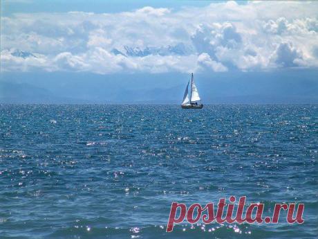 (71) Одноклассники