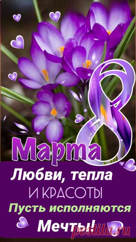 Изображение пина-истории