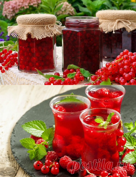 Что приготовить из смородины на зиму – простые рецепты вкусных заготовок