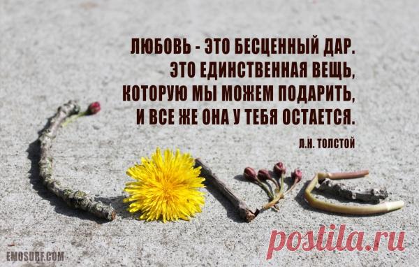 Цитаты о любви великих людей всех времен