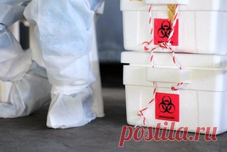 США начали расследовать работу лаборатории из-за заявлений России. В США начали расследование работы подпольной лаборатории в городе Ридли, Калифорнии после заявлений со стороны Министерства обороны России. Об этом заявил начальник войск радиационной, химической и биологической защиты ВС РФ генерал-лейтенант Игорь Кириллов, передает РИА Новости.