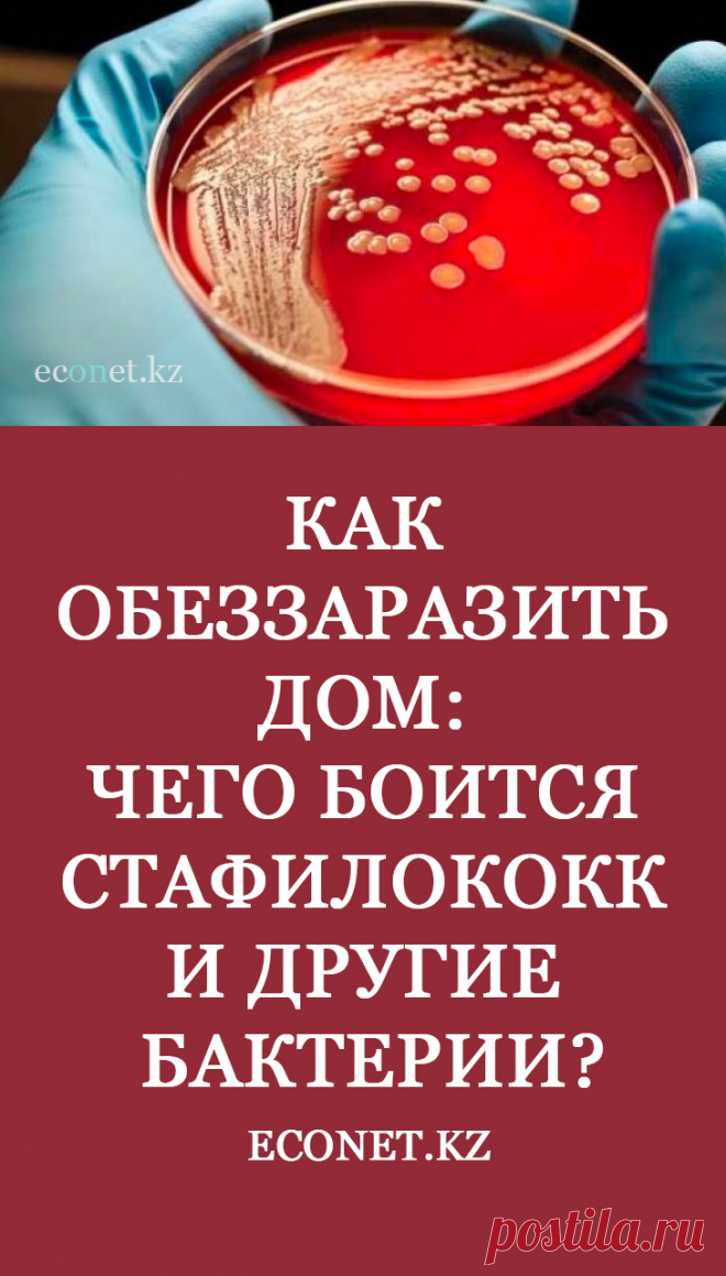 Как обеззаразить дом: чего боится стафилококк и другие бактерии? 
Воздушные массы переносят смог на огромные расстояния, и отравленный воздух вдыхают люди на всей планете. Проведенные исследования в 130 странах мира подтвердили, что самой частой экологической причиной болезней и преждевременной смерти, является отравленный воздух. В статье рассмотрим, как обеззаразить воздух в своем доме безопасным и эффективным способом.