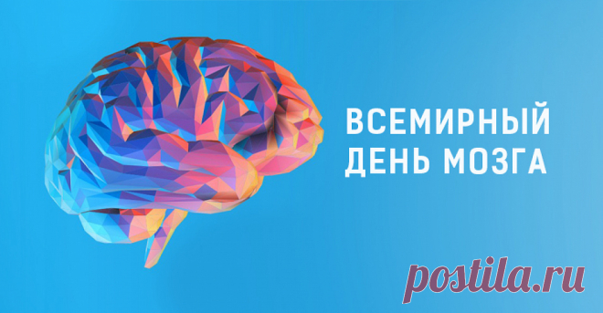 Всемирный день мозга!