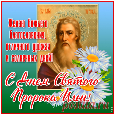 День Ильин, я поздравляю
И желаю бед не знать,
На великого Пророка
В миг нелегкий уповать.