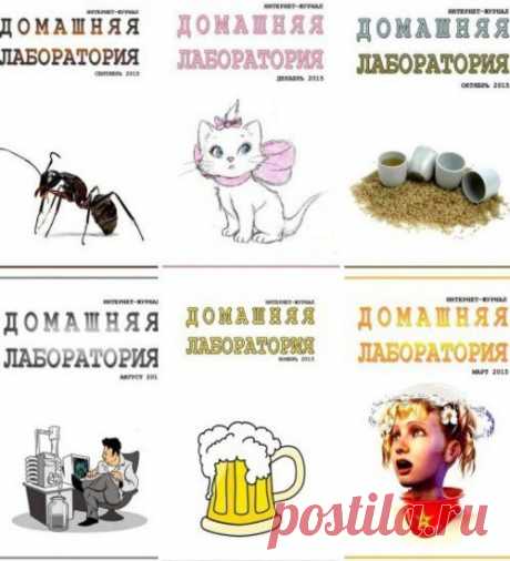 Подшивка журнала - Домашняя лаборатория №1-12 (январь-декабрь 2015) DJVU Подшивка журнала - «Домашняя лаборатория». Это весьма большой и увлекательный, образовательный, но некоммерческий интернет журнал, созданный группой энтузиастов. Интернет журнал содержит материалы, найденные в Интернет или написанные для Интернет. Основная тематика статей то, что можно сделать