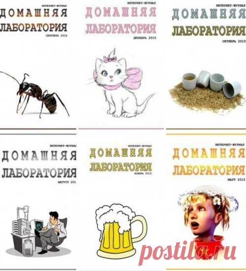Подшивка журнала - Домашняя лаборатория №1-12 (январь-декабрь 2015) DJVU Подшивка журнала - «Домашняя лаборатория». Это весьма большой и увлекательный, образовательный, но некоммерческий интернет журнал, созданный группой энтузиастов. Интернет журнал содержит материалы, найденные в Интернет или написанные для Интернет. Основная тематика статей то, что можно сделать