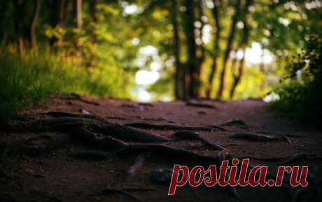 Биография Вольтера https://to-name.ru/biography/volter.htm