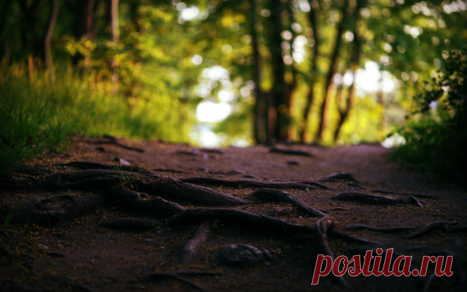 Биография Вольтера http://to-name.ru/biography/volter.htm