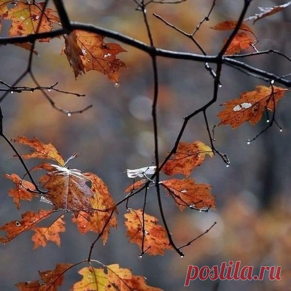 Помедли, осень, не спеши... – КРАСИВЫЕ КАРТИНКИ. ВИДЕО. МИР, В КОТОРОМ МЫ ЖИВЕМ! , пользователь Тумбина Марина | Группы Мой Мир