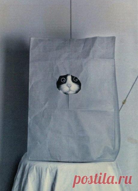 Елена Лунёва - Куку!!!!