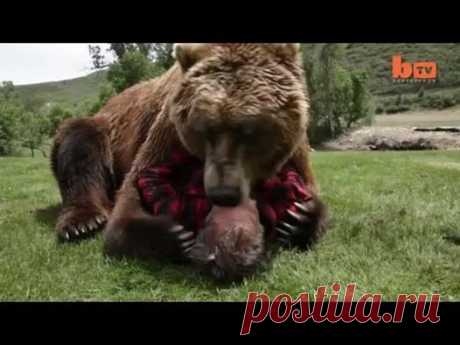Анастасия Якушева