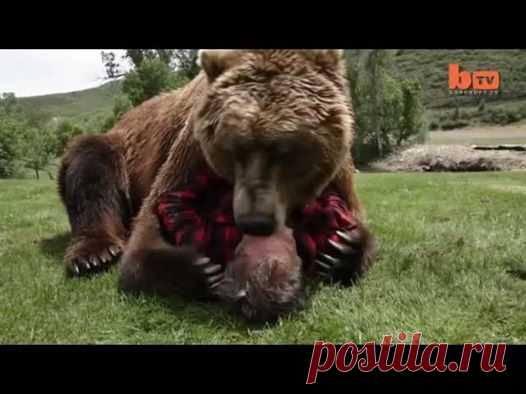 Анастасия Якушева