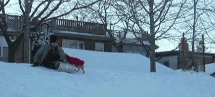 Наглость — второе счастье / Питомцы