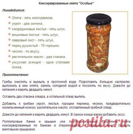 Готовим в духовке! + вся кулинария мира!
Ирина Мохонова