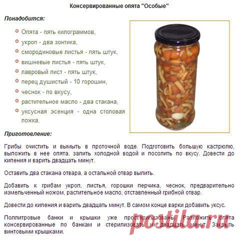 Готовим в духовке! + вся кулинария мира!
Ирина Мохонова