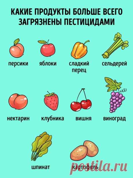 2 простых способа смыть вредные химикаты с овощей и фруктов | Всегда в форме!