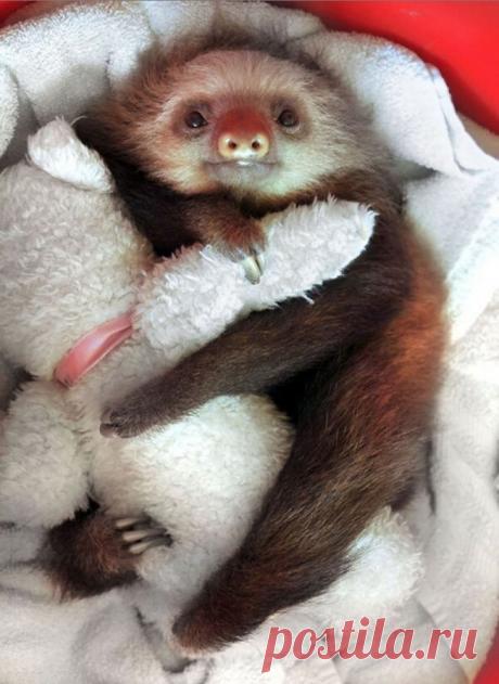 Попробуйте посмотреть этот пост и ни разу не улыбнуться | KaifZona.Ru