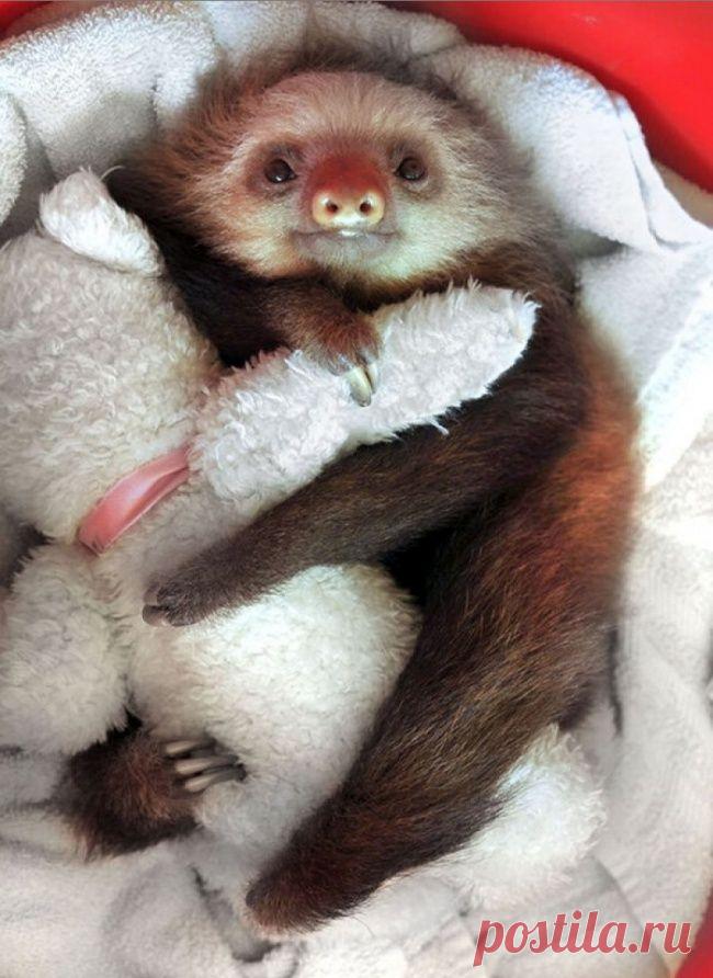 Попробуйте посмотреть этот пост и ни разу не улыбнуться | KaifZona.Ru