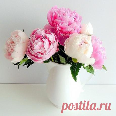 КАКОЙ СЕГОДНЯ ПРАЗДНИК? 17 Апреля 2018 г. – Вторник • Радоница • Международный день кофе (День эспрессо) • День ветеранов МВД и внутренних войск РФ8 лет • Международный день Ford Mustang54 года • День гармошечного зова • Всемирный день гемофилии (World Haemophilia Day)29 лет • Национальный день сырных шариков - США • День пожарной охраны - Украина • Национальный день женщин - Габон • День противопожарной службы - Казахстан • День эвакуации иностранных войск - Сирия • День ВВС и ПВО - Куба •…