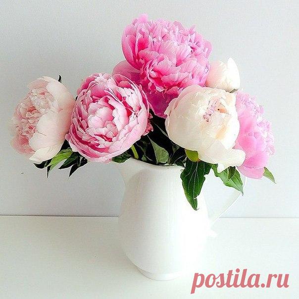 КАКОЙ СЕГОДНЯ ПРАЗДНИК? 17 Апреля 2018 г. – Вторник • Радоница • Международный день кофе (День эспрессо) • День ветеранов МВД и внутренних войск РФ8 лет • Международный день Ford Mustang54 года • День гармошечного зова • Всемирный день гемофилии (World Haemophilia Day)29 лет • Национальный день сырных шариков - США • День пожарной охраны - Украина • Национальный день женщин - Габон • День противопожарной службы - Казахстан • День эвакуации иностранных войск - Сирия • День ВВС и ПВО - Куба •…