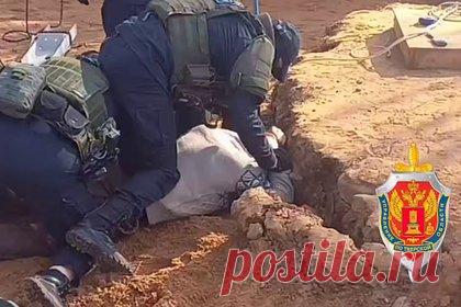 В российском регионе раскрыли крупную схему теневого банкира