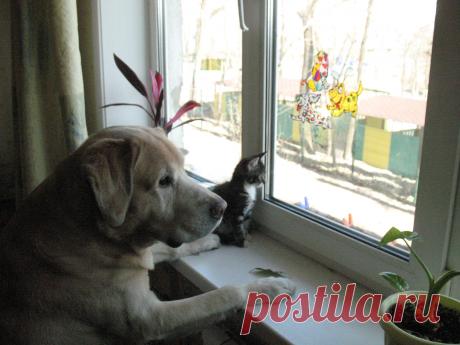 надо посмотреть, что там за окном происходит