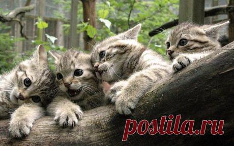 Интересные новости