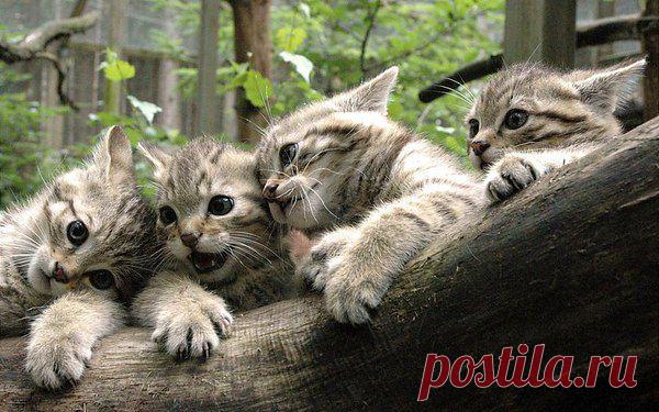 Интересные новости