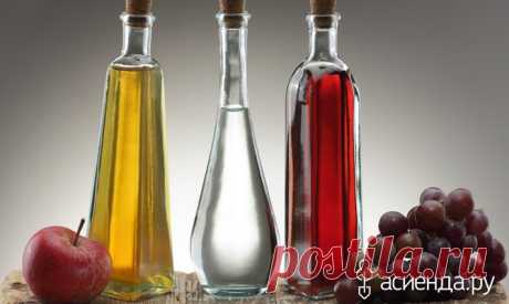 Яблочный уксус в садоводстве
Эта известная приправа широко применяется в быту, домашней косметике и медицине. В отличие от обычного столового уксуса, яблочный более ароматный и полезный. Пригодится он может и в садоводстве. К…