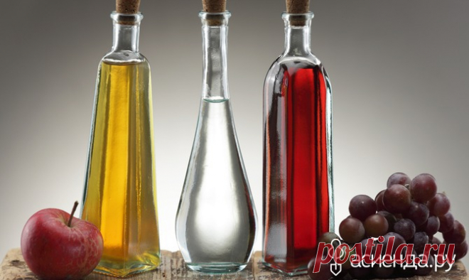 Яблочный уксус в садоводстве 

 
Эта известная приправа широко применяется в быту, домашней косметике и медицине. В отличие от обычного столового уксуса, яблочный более ароматный и полезный. Пригодится он может и в садоводстве. К…