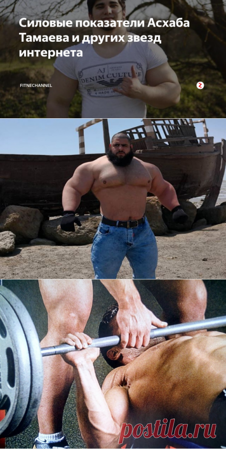 Силовые показатели Асхаба Тамаева и других звезд интернета | fitnechannel | Яндекс Дзен