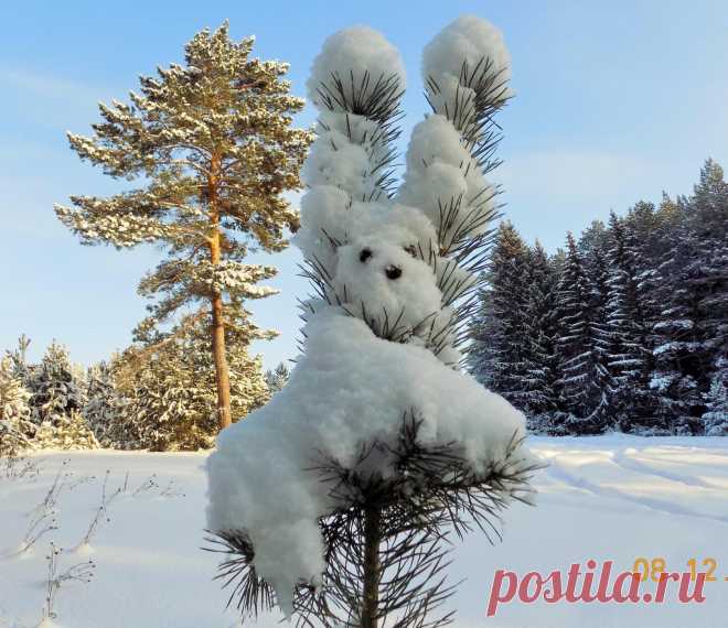Природа сотворила шедевр!!!!!!
↓↓↓ продолжение темы НИЖЕ ↓↓↓- ЖМИ↓↓↓