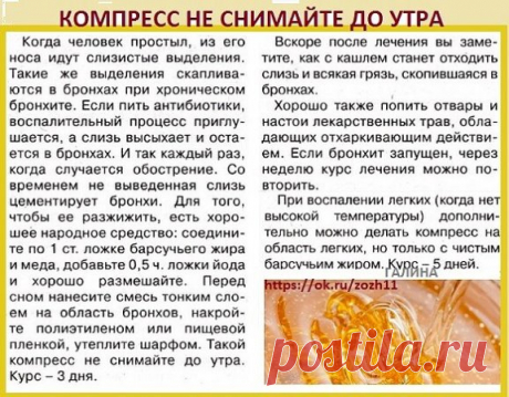 Хронический бронхит. Как вывести слизь из бронхов