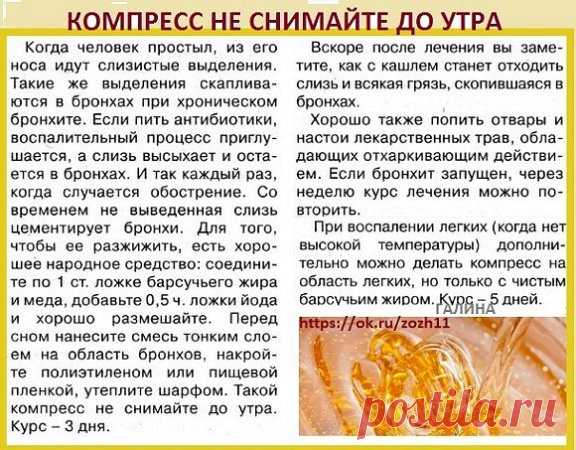 Хронический бронхит. Как вывести слизь из бронхов