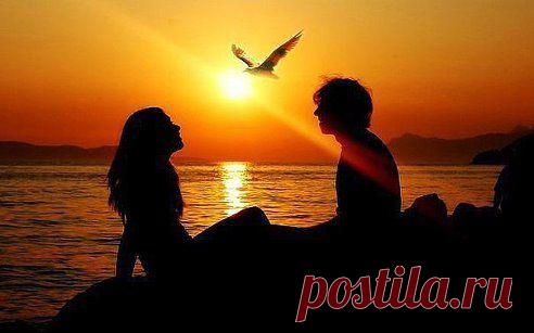 (67) Одноклассники