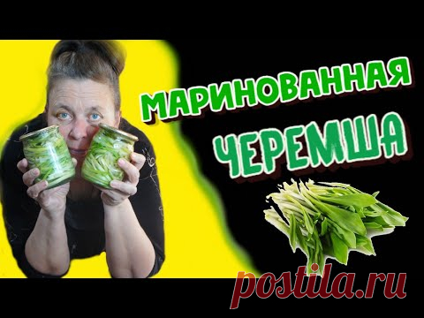 МАРИНОВАННАЯ ЧЕРЕМША на зиму/Вкусные РЕЦЕПТЫ/Солка на каждый день.